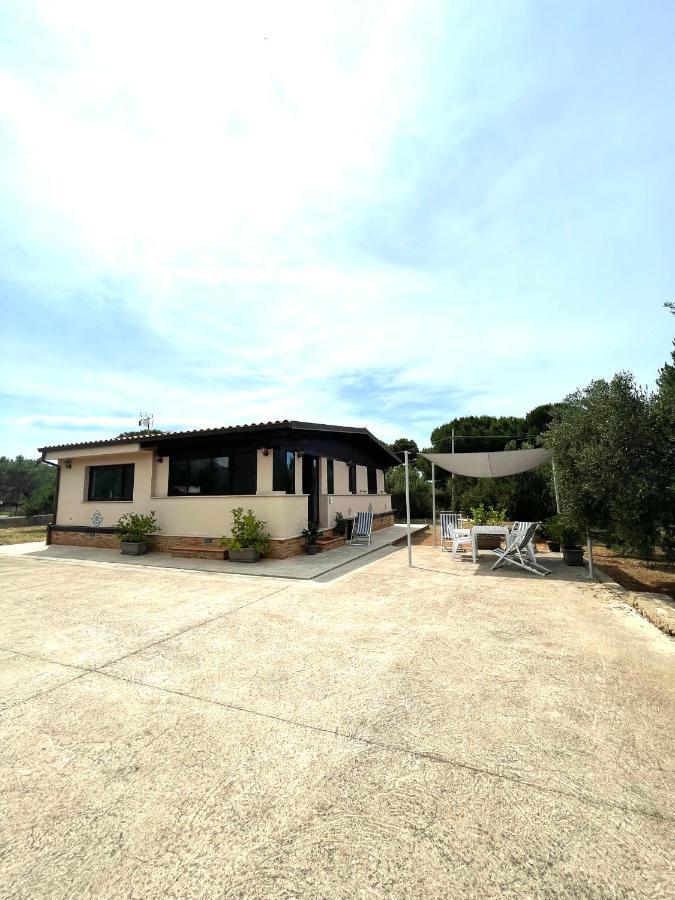 Il Moro - Casa Vacanze Terrasini Exterior photo